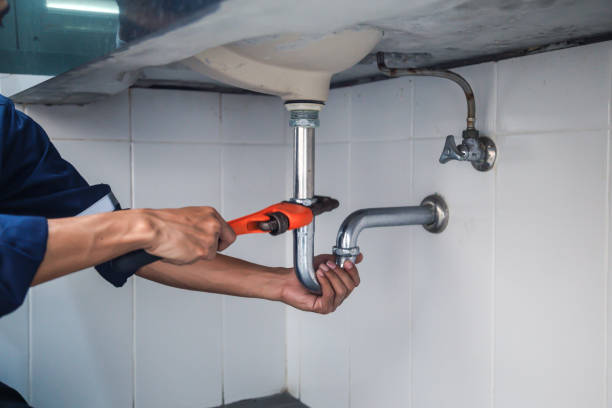 Best Best Plumbers Near Me  in Twin Grove, IL