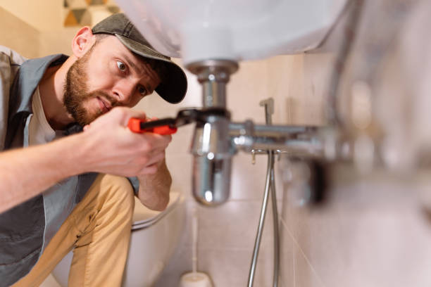 Best Clogged Drain Plumber  in Twin Grove, IL